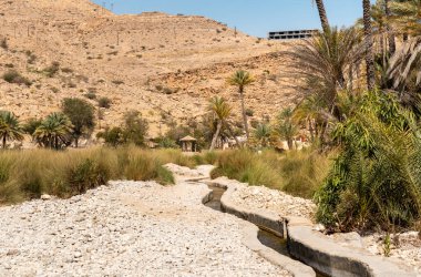 Umman Sultanlığı çölündeki Wadi Bani Khalid vahasının manzarası..