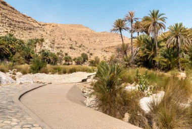 View of the Wadi Bani Khalid oasis in the desert in Sultanate of Oman.