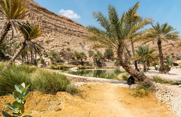 Umman Sultanlığı çölündeki Wadi Bani Khalid vahasının manzarası..