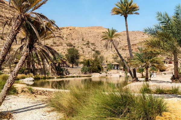 Umman Sultanlığı çölündeki Wadi Bani Khalid vahasının manzarası..