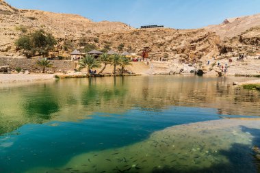 Umman Sultanlığı çölündeki Wadi Bani Khalid vahasının manzarası..