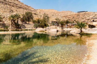 Umman Sultanlığı çölündeki Wadi Bani Khalid vahasının manzarası..