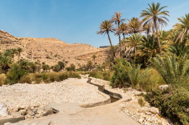 View of the Wadi Bani Khalid oasis in the desert in Sultanate of Oman.