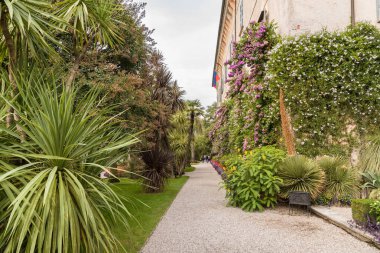 İtalya, Piedmont, Stresa ilinin Maggiore gölünde yer alan Isola Madre ya da Mother Island 'ın park bahçesi.