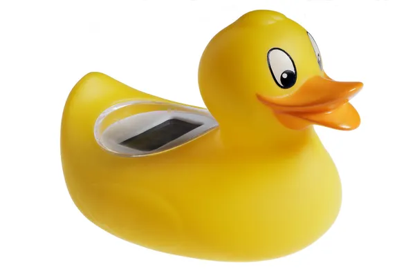 Yellow toy duck