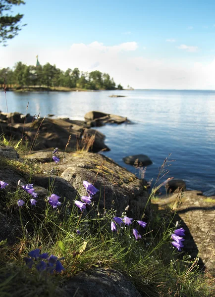 Valaam kusten. — Stockfoto