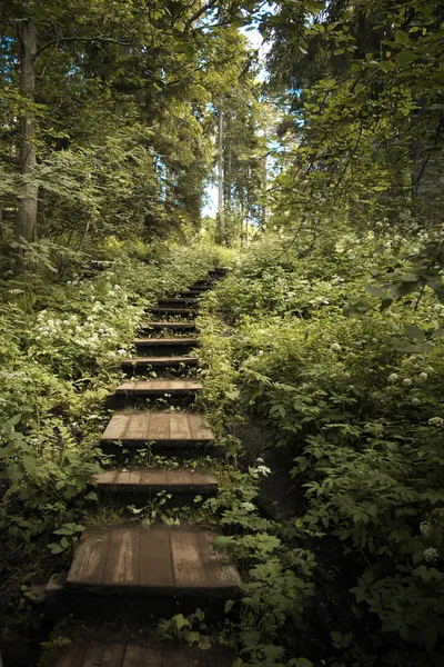 Houten trap. — Stockfoto