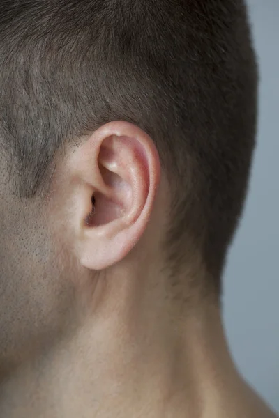 Lidé ucho — Stock fotografie
