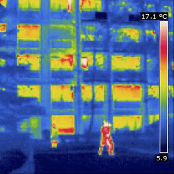 THERMOGRAM — Stock Photo, Image