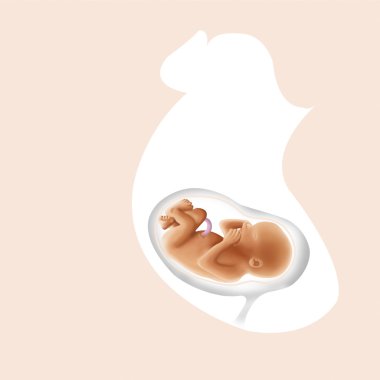 Fetal tanıtımı