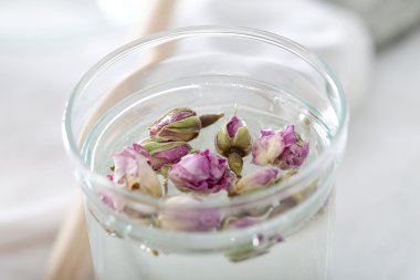 morocan gül tomurcukları.