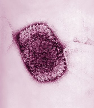 Cowpox virus clipart