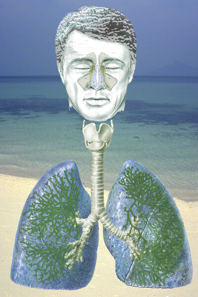 Дыхательная система