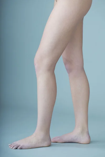 Samice nóg — Zdjęcie stockowe