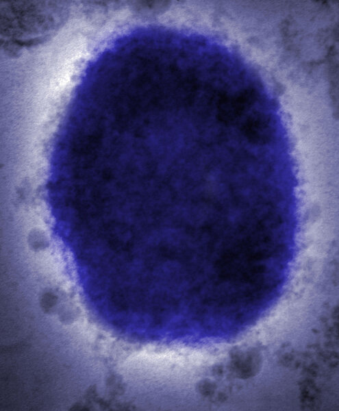 Dna under microscope