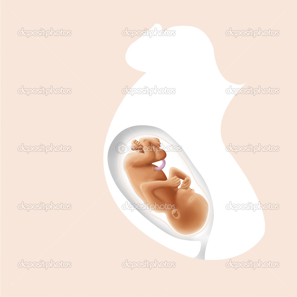 Presentation of the fetus