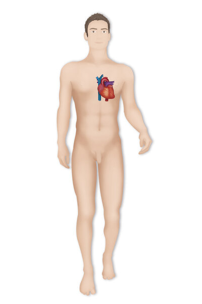 Силуэт человека
