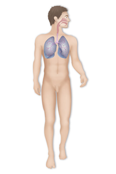 Силуэт человека
