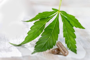 Close up of capsules under the cannabis leaf on a white background.