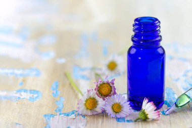 Blue bottle of essential oil and daisies on old wooden board.
