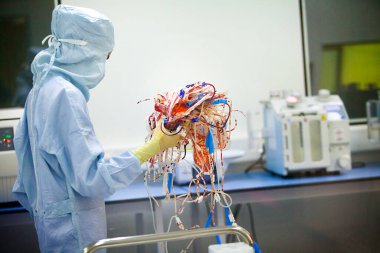 Biobank: isolation of stem cells from umbilical cord blood, with automatic devices for separating blood components.