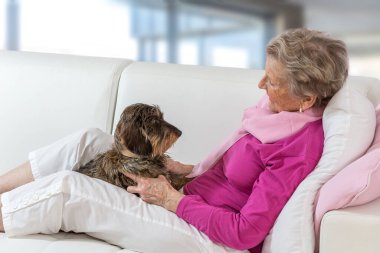 Onu köpek ile kadın kıdemli.