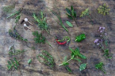 Aromatic herbs and spices from garden, healthy cooking from above