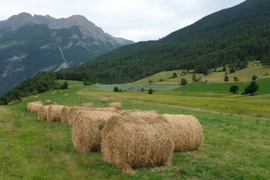 Mountain farming area with hay bales for fodder in the foreground.