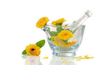 Image of marigolds in a glass mortar isolated on white background.