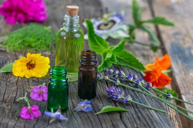 Bottles of essential oils surrounded by multicolored medicinal plants.
