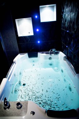 Garra rufa fish feed on dead skin and are used to treat wounds or psoriasis.