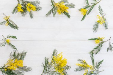 Frame from branches and flowers of mimosa on a white wooden background. top view. copy space