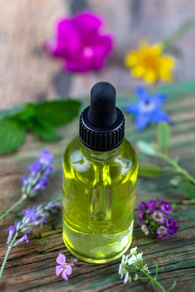 Close Essential Oil Bottle Surrounded Medicinal Plants — Stock Photo, Image