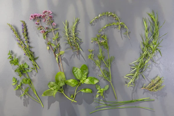 Aromatic herbs and spices from garden, healthy cooking from above