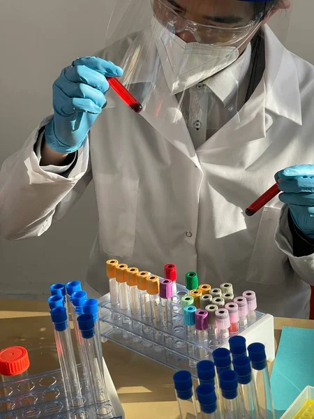 Laboratory Technician Carrying Out Experiments Different Types Viruses Bacteria — Stock Photo, Image
