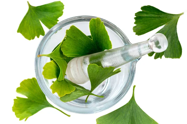 Ginkgo Biloba Leaves Glass Mortar White Background — ストック写真