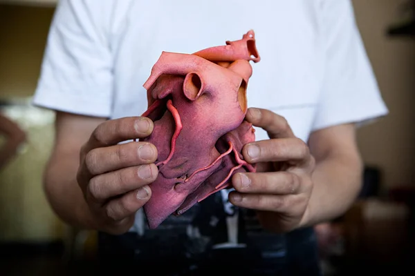 Reconstruction Patient Images Printed Heart — ストック写真