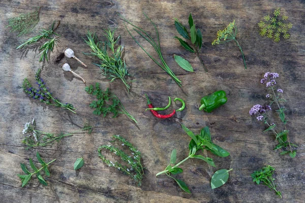 Aromatic Herbs Spices Garden Healthy Cooking — Zdjęcie stockowe