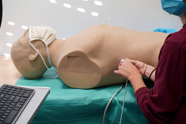 Students Teacher Echography Simulation Workshop Robot Mannequin — 图库照片