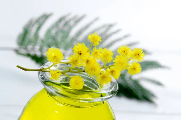 Mimosa Essential Aroma Oil White Background — Stock Fotó