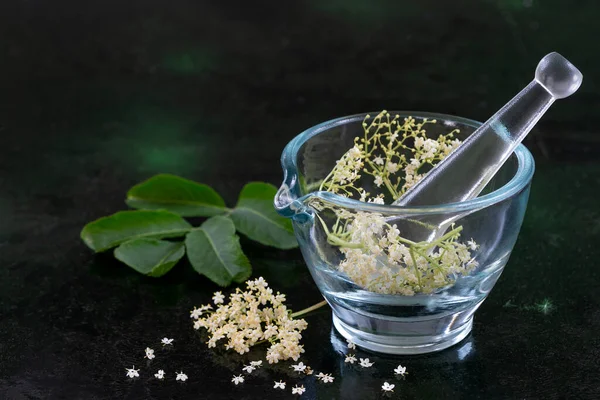 Close Elderberry Flowers Glass Mortar Black Background — Stock Photo, Image