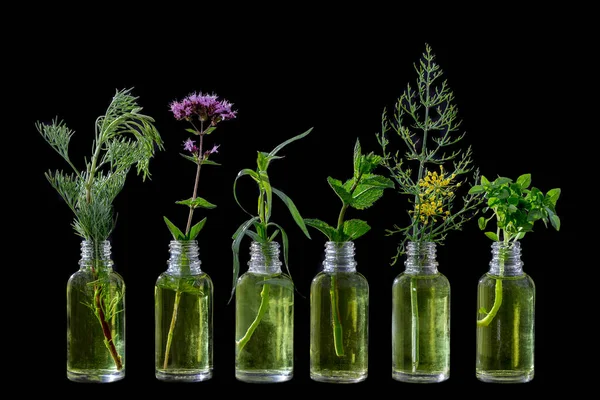 Different healing flowers in small glass bottles on black