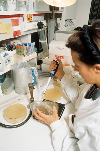 Institut Pasteur Paris France Researching Specific Gene Involved Transformation Liver — ストック写真