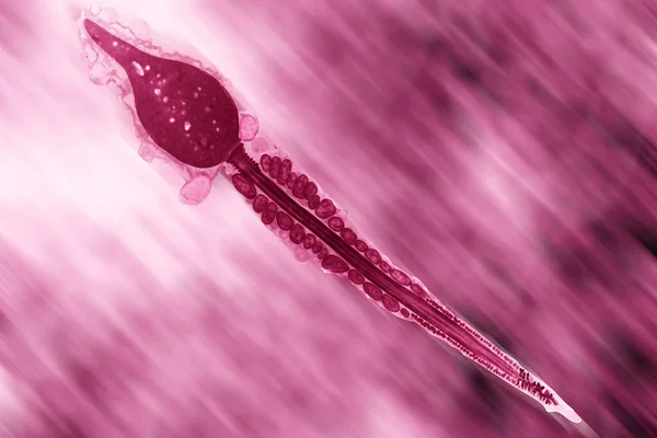 Spermatozoon Αφηρημένο Κοντινό Φόντο — Φωτογραφία Αρχείου