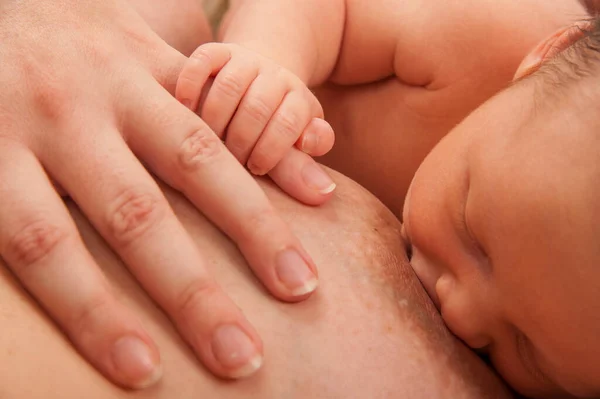 Mother Breast Feeding Week Old Baby — 스톡 사진