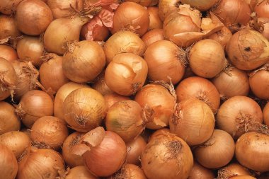 ONIONs background close-up view