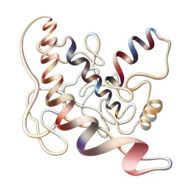 Representation of the secondary structure of a protein.