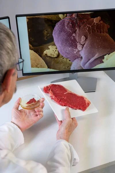 Researcher Presenting Meat Created Stem Cells Front Computer Screens Medical — Stock Fotó