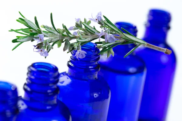 Rosemary Flower Aromatherapy Essential Oil Blue Glass Bottle White Background — Stockfoto