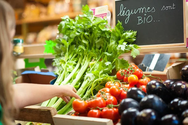 Organic Vegetables Organic Store Celery Tomatoes Eggplants — Stockfoto